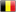 Belgique custom T-shirts