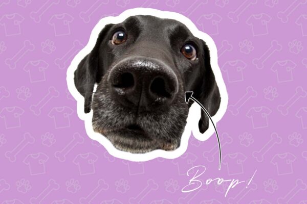 International Dog Day with our featured customer, Glam with Grace