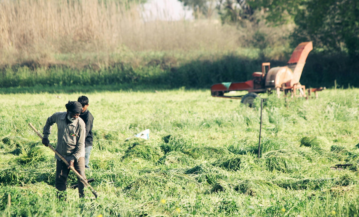 A couple of farmers working a field