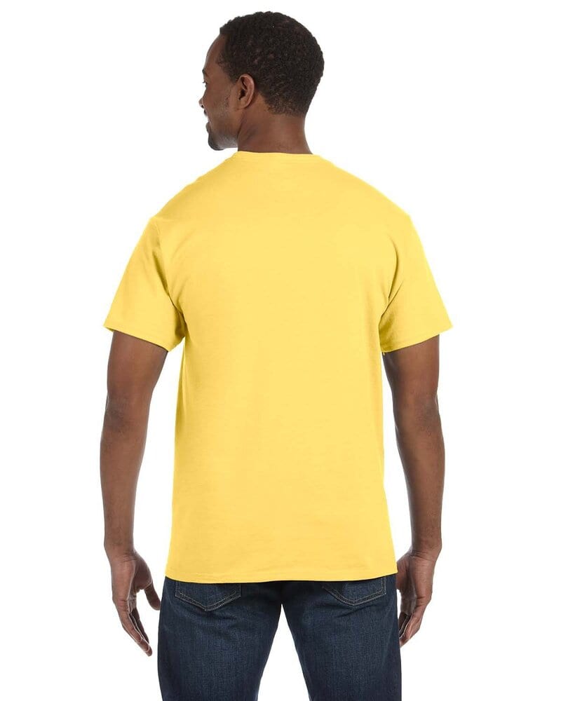 Hanes 5250 - Men's Authentic-T T-Shirt