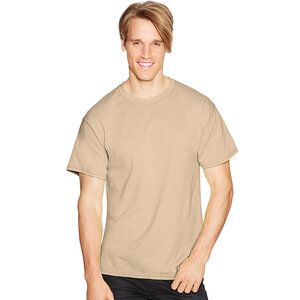 Hanes 5170 - ComfortBlend® EcoSmart® T-Shirt