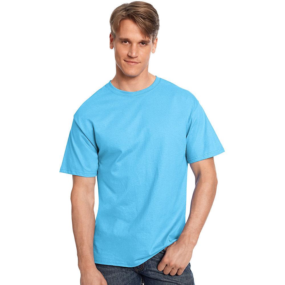 Hanes 5250 - Men's Authentic-T T-Shirt