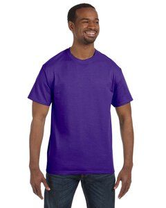 Hanes 5250T - Men's Authentic-T T-Shirt Purple