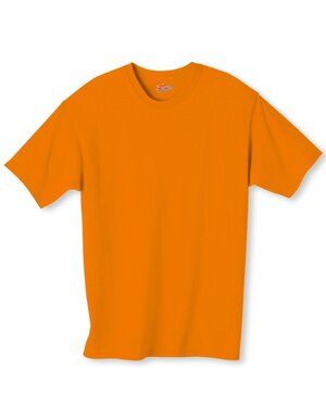 Hanes 5250T - Mens Authentic-T T-Shirt