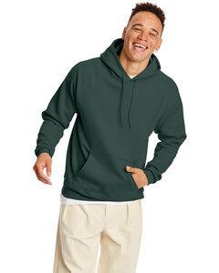 Hanes P170 - EcoSmart® Hooded Sweatshirt Athletic Dk Gren
