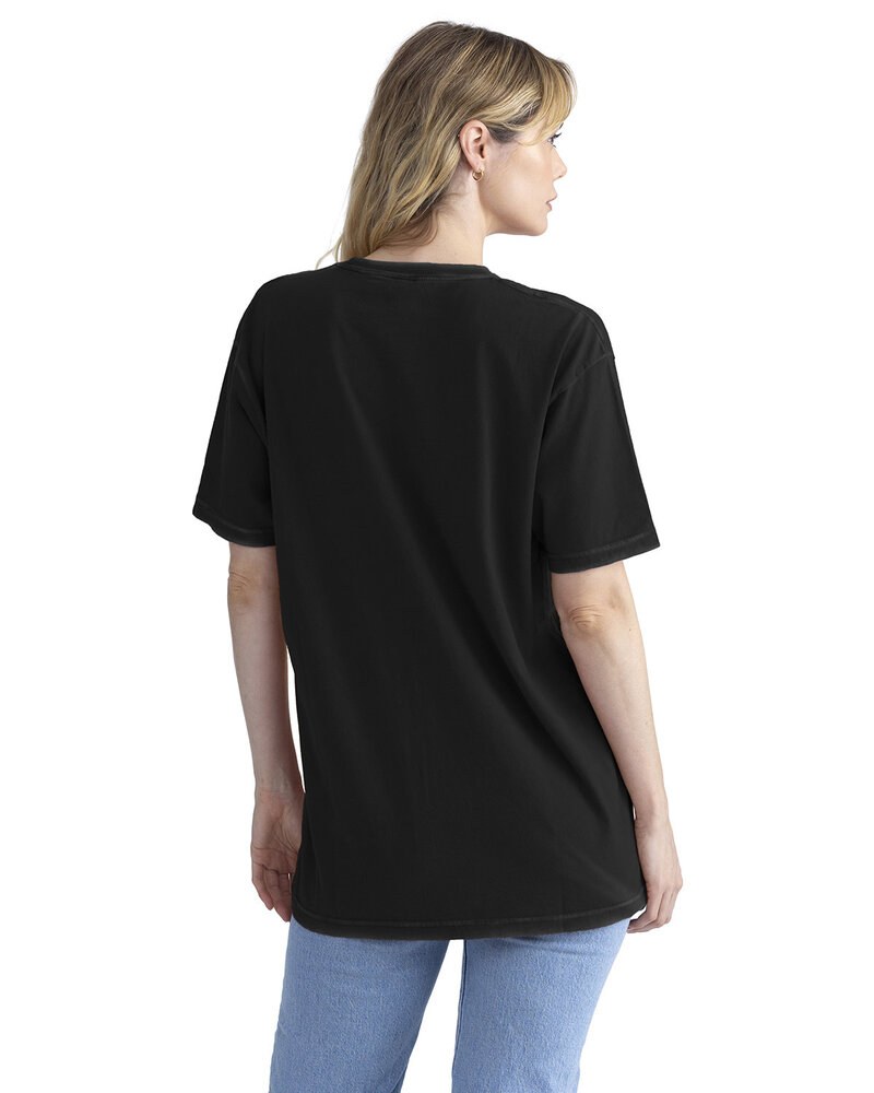 Next Level Apparel 3600SW - Unisex Soft Wash T-Shirt