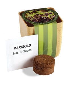 Prime Line PL-5010 - Flower Pot Set With Marigold Seeds